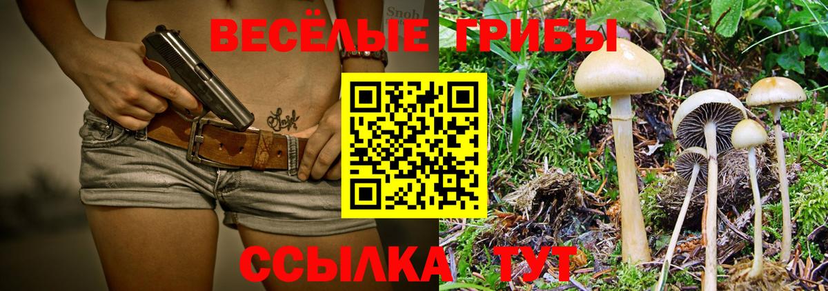 Валуйки  Псилоцибиновые грибы Psilocybe  Псилоцибиновые грибы прущие грибы  Вход с VPN 