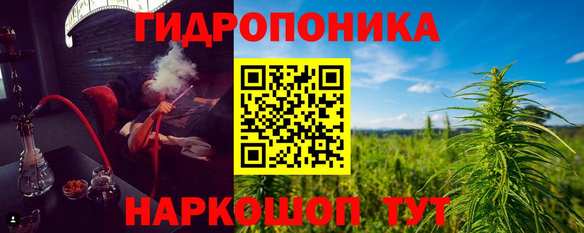 Бошки Шишки семена Валуйки